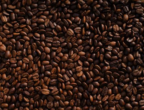 Photo of Coffee beans