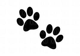 paw prints