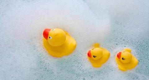 rubber duckies photo