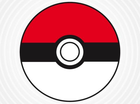 Pokeball Photo