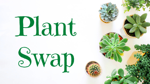 Plant swap text and succulent plants