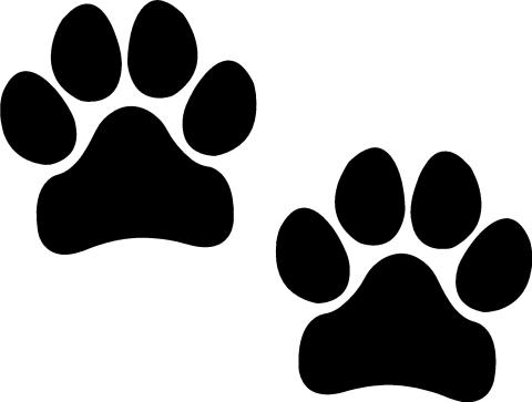 paw