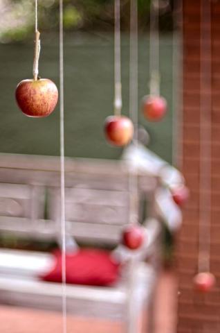 Apple on a string photo