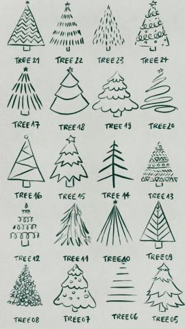 pine trees sketch photo