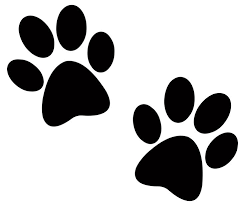 paw prints