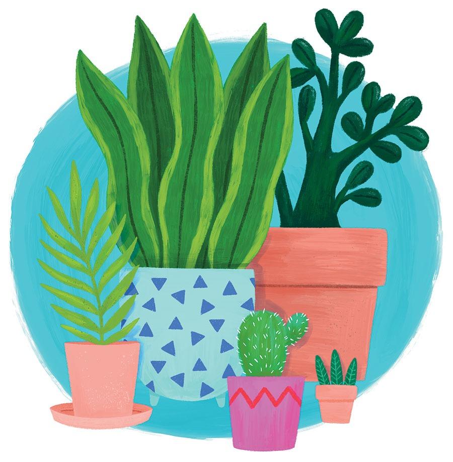 plants clipart