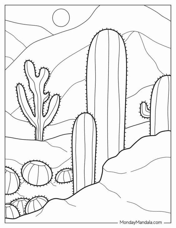 cacti photo