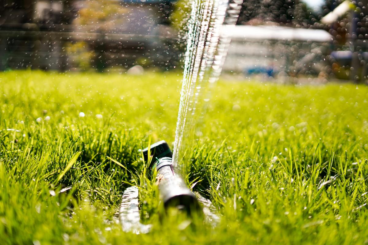sprinkler photo