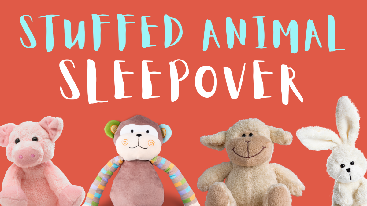stuffed animal sleepover