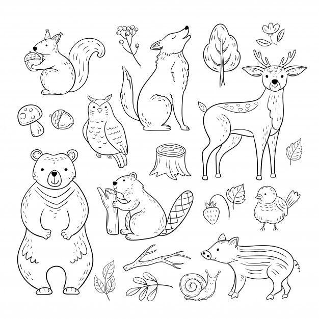 woodland doodles